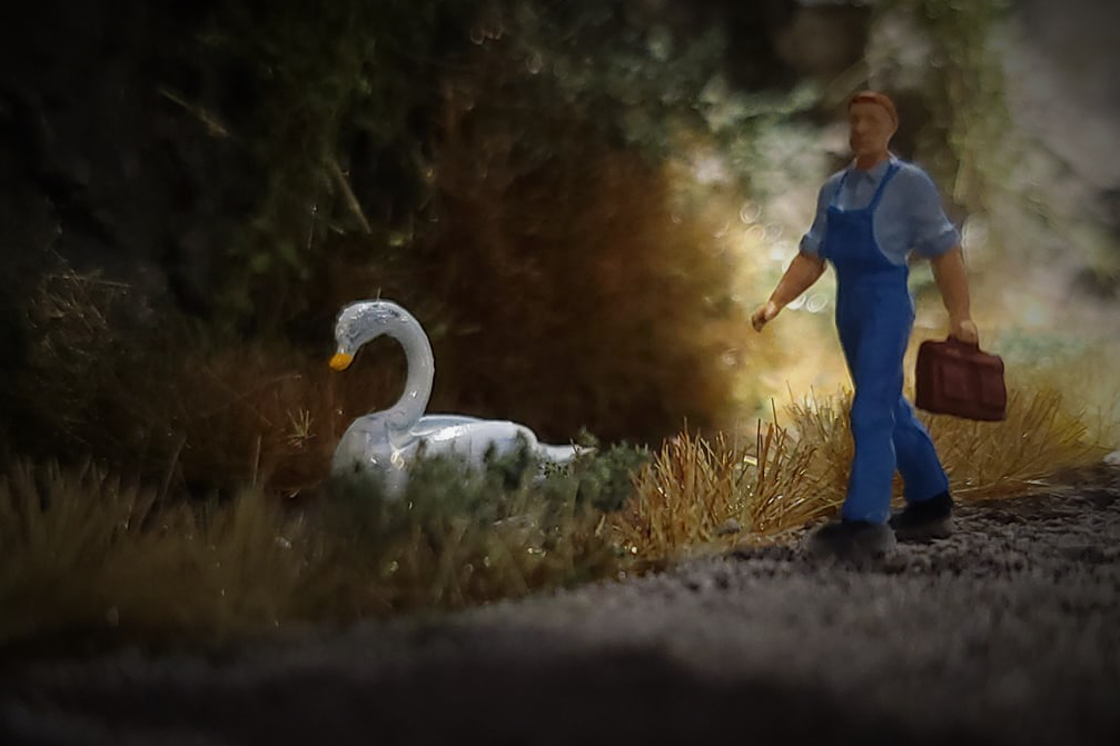 Ron The Swan and Farmer Ted